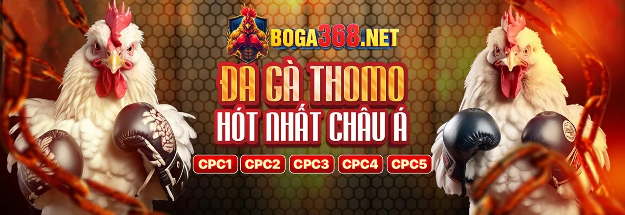 Tin tức 88ww mới nhất